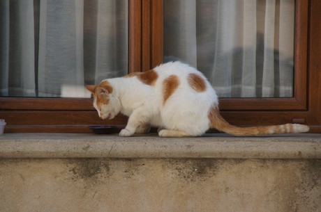 Salon de Provence